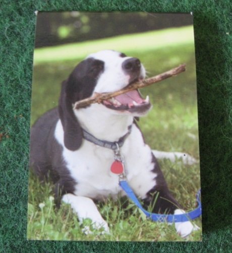 Notizblock Hund mit farbigen Wasserzeichen, klein