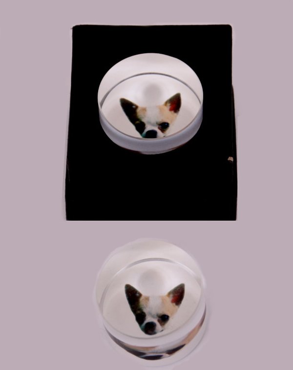 Briefbeschwerer Hund Chihuahua im Geschenkkarton